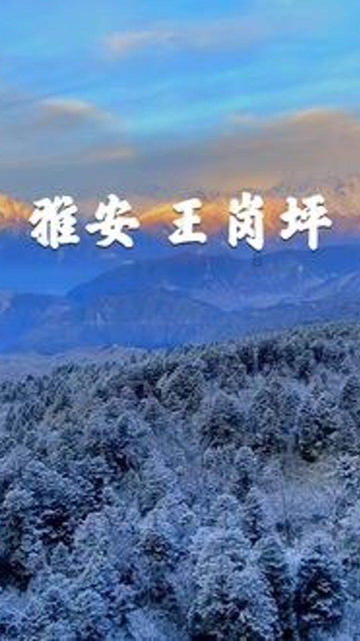【迎接全省两会】种下团结“石榴籽” 浇灌民族“幸福花”